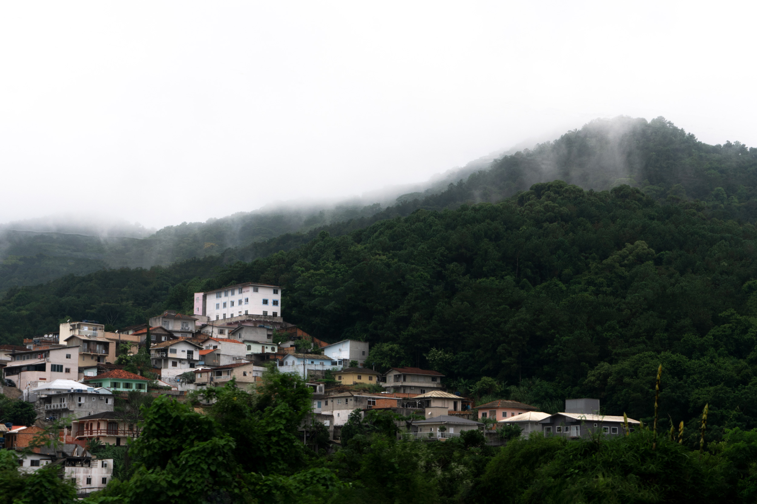 Naturaleza Milo